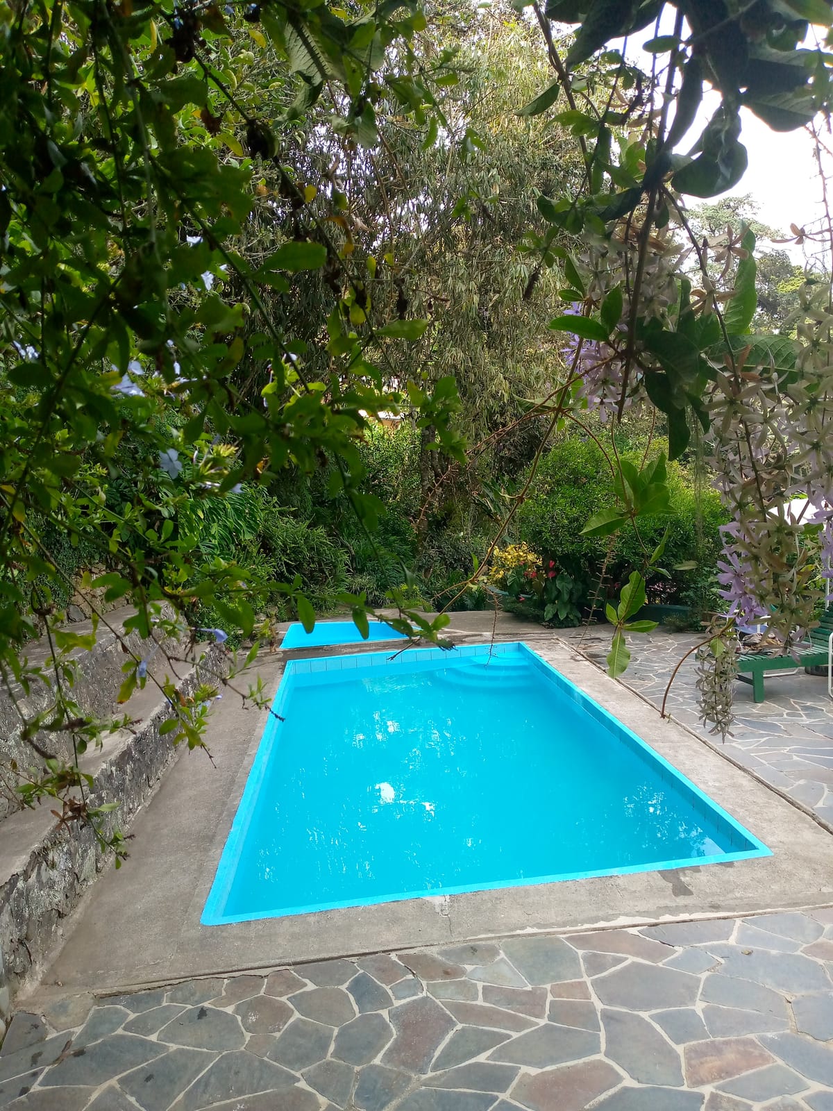 Piscina pequeña del hostal rodeada de flores y vegetación