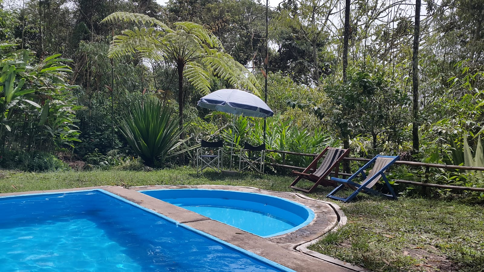 Piscina rodeada de selva nublada en el hostal ecolodge