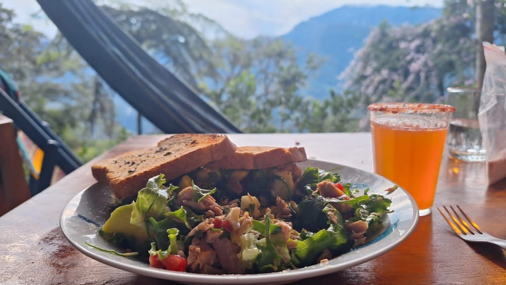 Ensalada con sándwich y vista a la montaña desde el restaurante